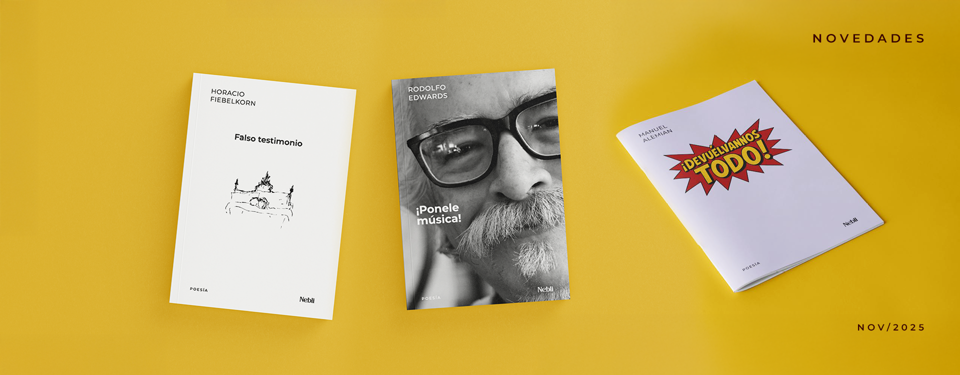 banner-novedades-nebliplateada